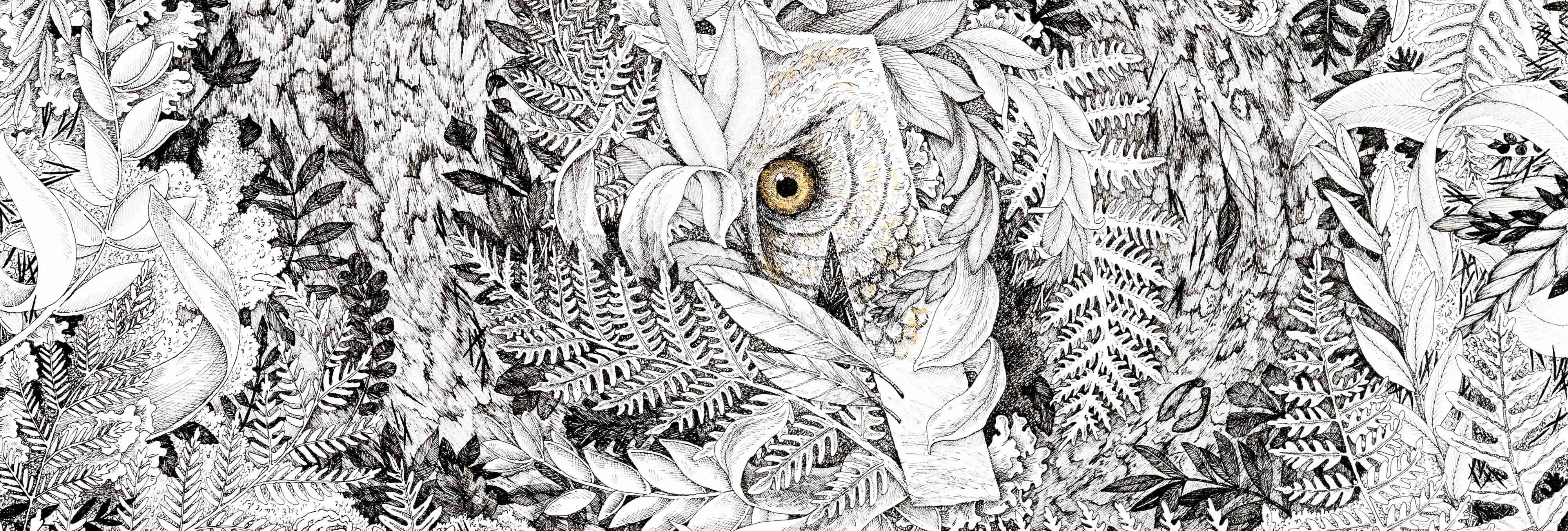 Illustration Margot Reverdy Swindler Aurelie Lamour Photographe.