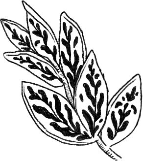Deco feuille 4.
