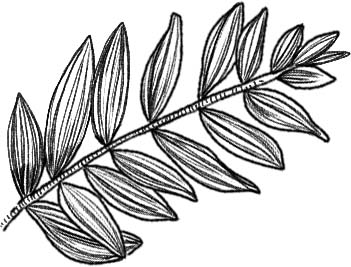 Deco feuille 6.
