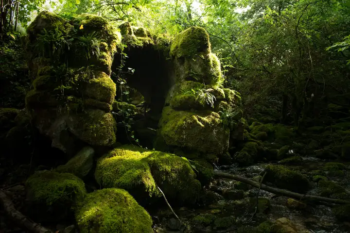 Photographe nature reportage photo valence drome montelimar photo session shooting 3.