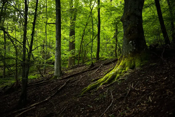 Photographe nature reportage photo valence drome montelimar photo session shooting 5.