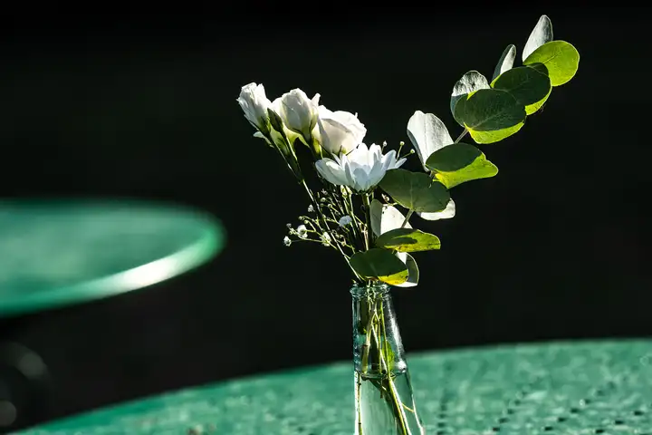 Aurelie lamour photographe mariage temoignage couple drome00031.