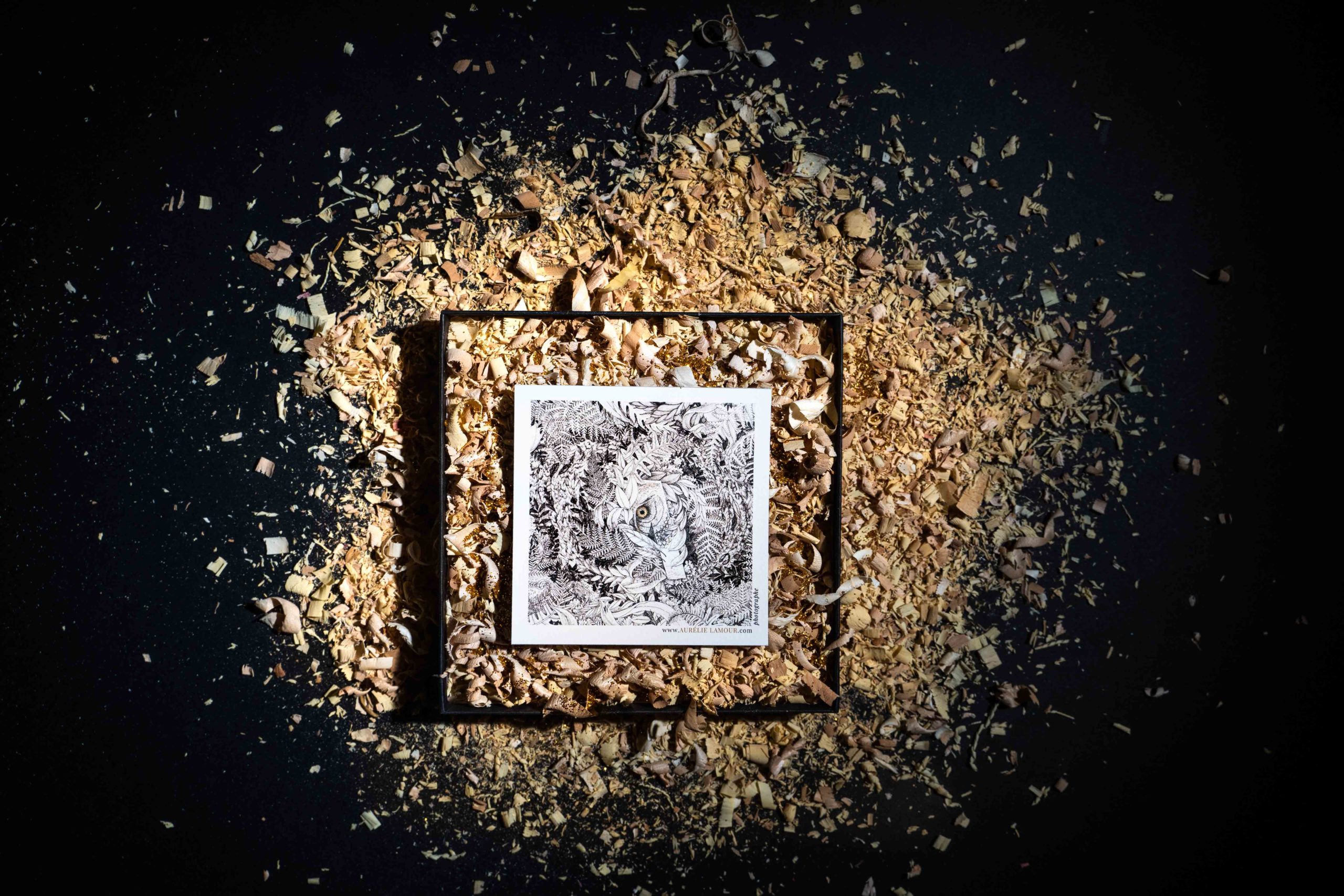 Aurelie lamour photographe seance cadeau coffret drome00002.