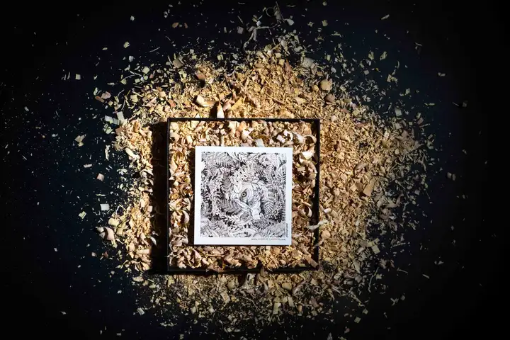 Aurelie lamour photographe seance cadeau coffret drome00002.