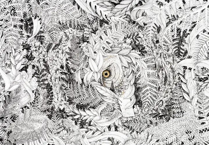Aurelie lamour photographe illustration.