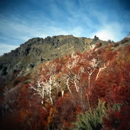 Aurelie lamour photographe reportage chili holga drome 00010.