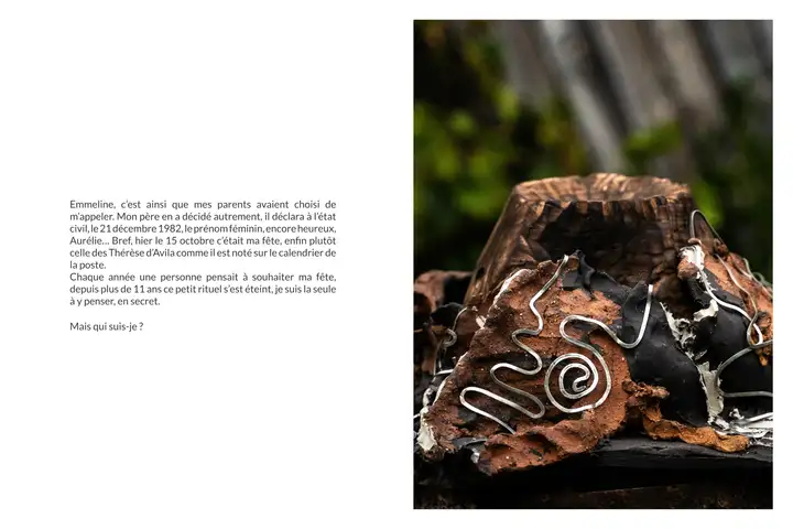 Aurelie lamour photographe livre flammes escarbilles drome 00005.