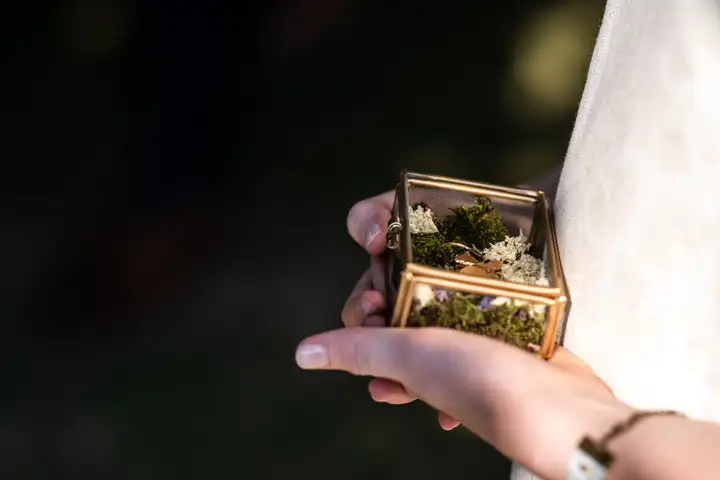 Aurelie lamour photographe mariage alliance bague drome 00021.