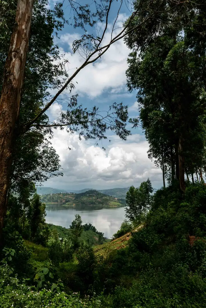 Aurelie lamour photographe reportage rwanda foret lac 2.