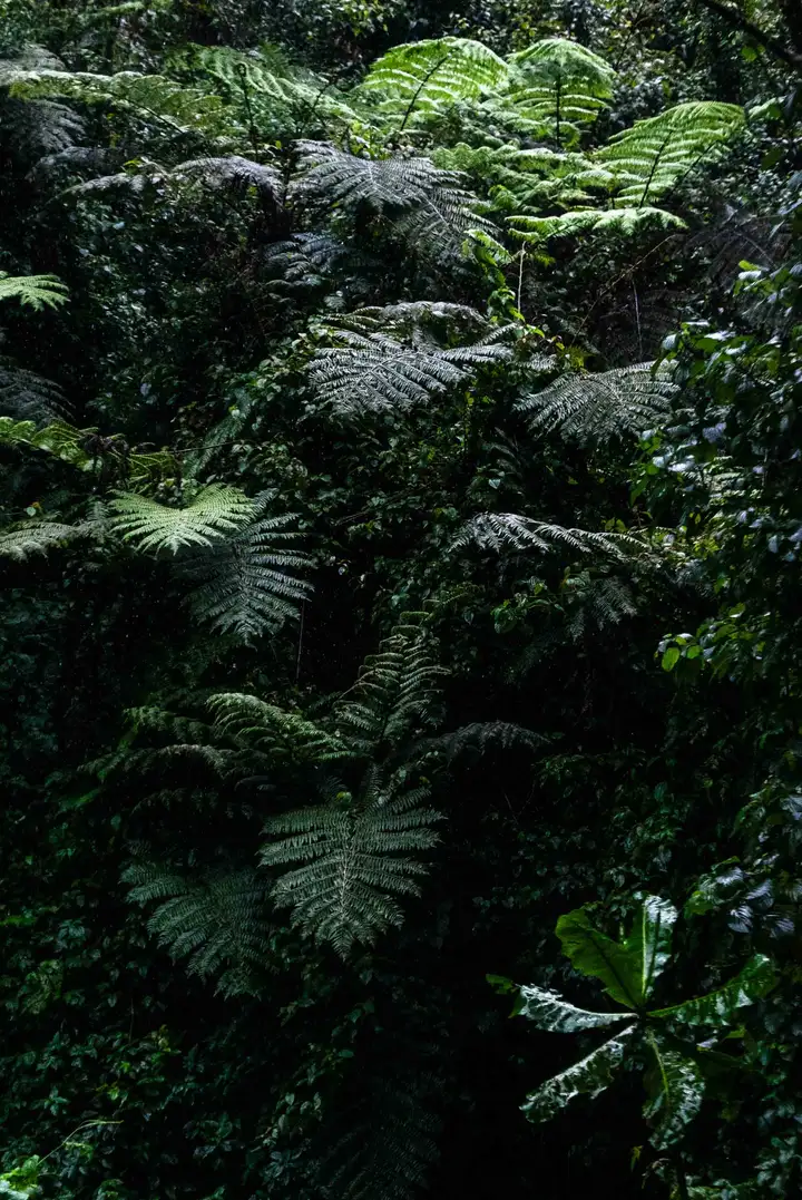 Aurelie lamour photographe reportage rwanda fougeres 2.