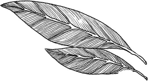 Deco feuille 2.