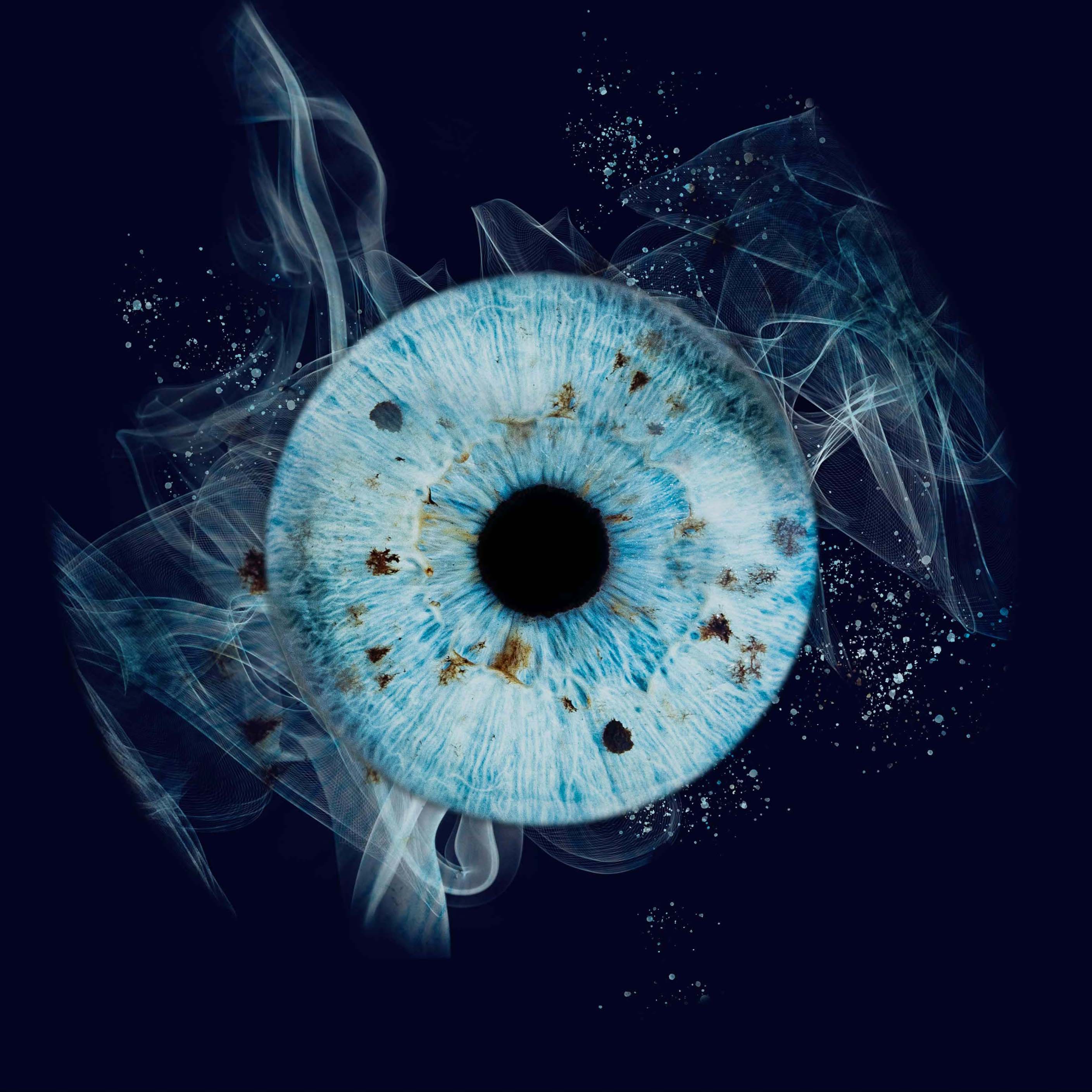 Aurelie lamour photogaphe drome iris bleu.
