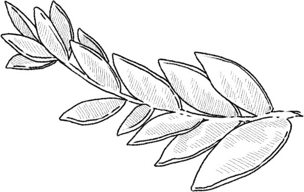 Deco feuille 1.