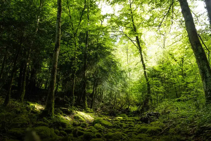 Aurelie lamour photogaphe drome paysage nature drome 3.