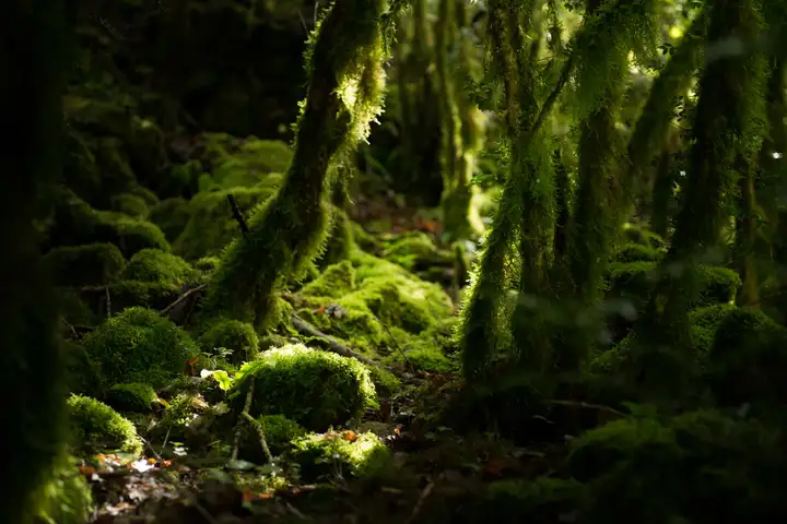 Aurelie lamour photogaphe drome paysage nature drome 4.
