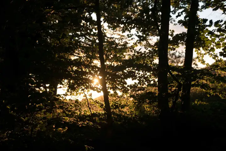 Aurelie lamour photogaphe drome paysage nature drome 9.